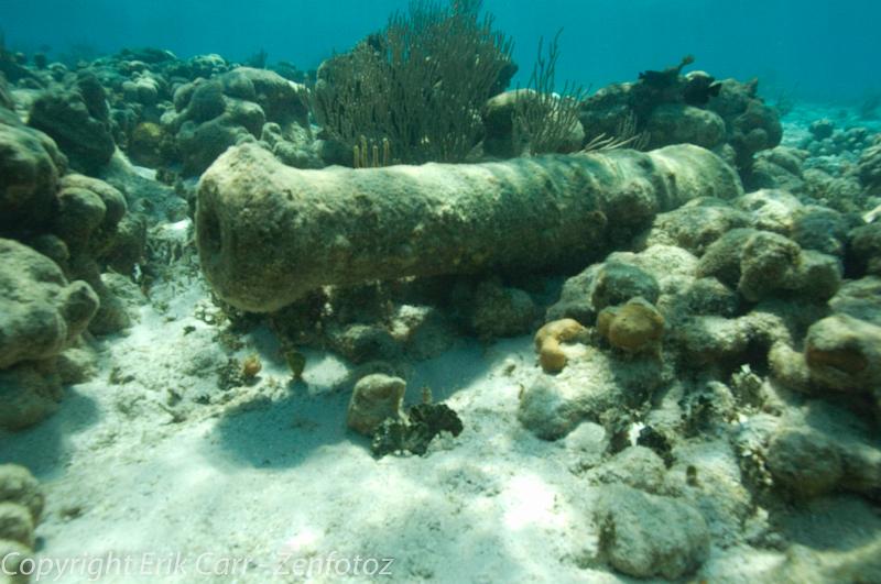 BVI Diving-0065.jpg